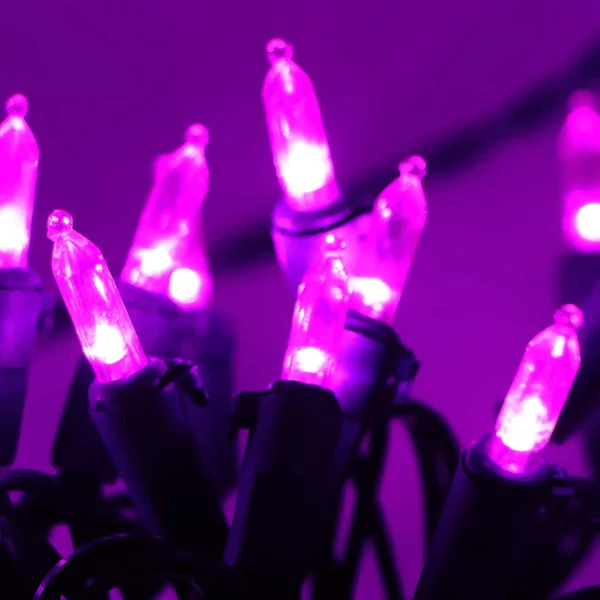 Joiedomi 100 LED Purple Christmas String Lights 3 Joiedomi 100 LED Purple Christmas String Lights