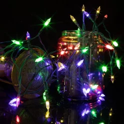 Joiedomi 50 LED Multicolor Led Green Wire String Lights 17.3ft