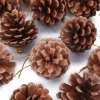 Joyin 36pcs Real Pine Cone Christmas Ornaments