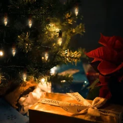 Joiedomi 25pcs C7 Christmas Replacement Light Bulb -Christmas Ornaments Sales Store 25 Pcs C7 Incandescent Bulb 7 result 600x600 1