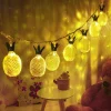 Joiedomi 2x10 LED Pineapple Led Fairy String Lights 10ft