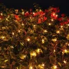 Joiedomi 2x100 Warm White Christmas Net Lights 4x4ft -Christmas Ornaments Sales Store 2Pcs 100 Incandescent Warm White Christmas Net Lights 4x4ft 1 600x600 1