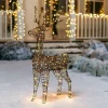Joiedomi 3ft 80 LED Christmas Rattan Reindeer Buck