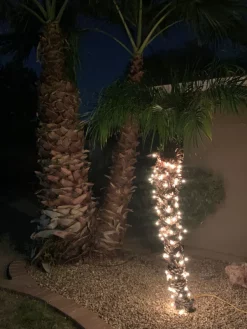 Joiedomi 4x100 Clear Christmas Lights With Green Wire