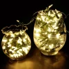 Joiedomi 600 LED Cool White Led String Lights Green Wire