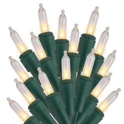 Joiedomi 900 LED Clear Led Green Wire String Lights