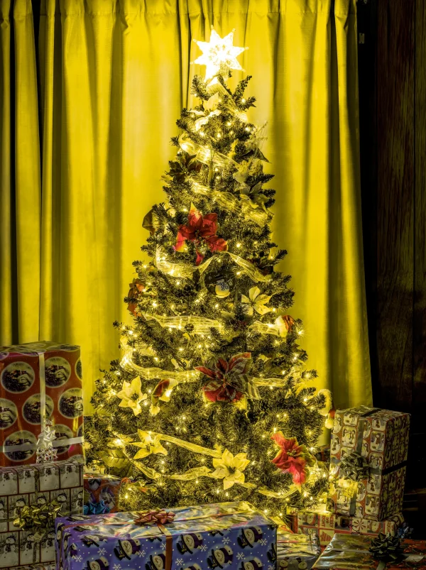 Joiedomi 900 LED Clear Led Green Wire String Lights 7 Joiedomi 900 LED Clear Led Green Wire String Lights - Image 5